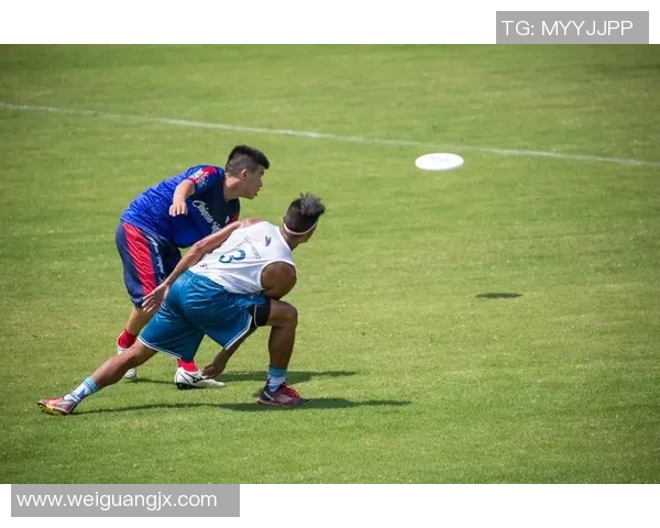 飞盘飞翔：重庆飞盘队的拼搏与成长之路全景记录