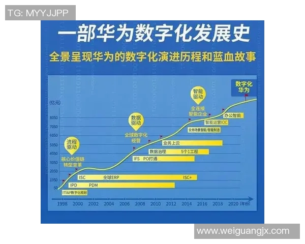 重庆排球队转型之路的挑战与机遇全景报道