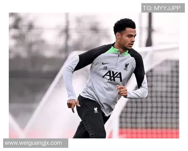 加克波的崛起与挑战：探讨这位新星在足球世界中的影响力与未来发展